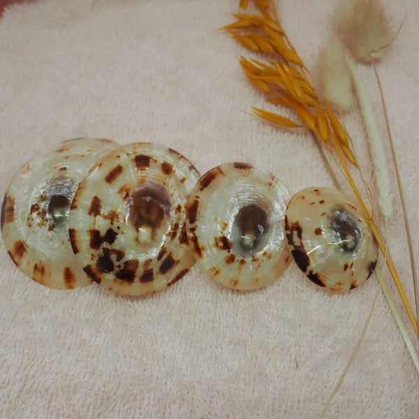 Coquillage d'allaitement Babig - Vanille Coton